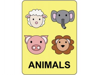 Classification Labels - Animals