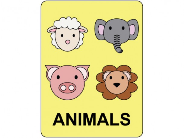 Classification Labels - Animals