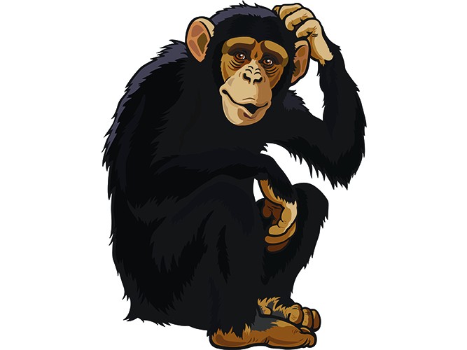 Vinyl Chimpanzee Mascot - Biblio RPL Ltée