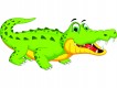 Mascotte Alligator en vinyle