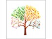 Tree from four seasons - Self-Adhesive Vinyl Poster