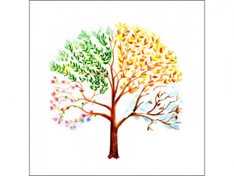 Tree from four seasons - Self-Adhesive Vinyl Poster