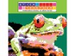 StickTogether Mosaic Sticker Poster - Springtime Frog