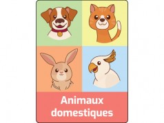 Classification Labels - Animaux domestiques